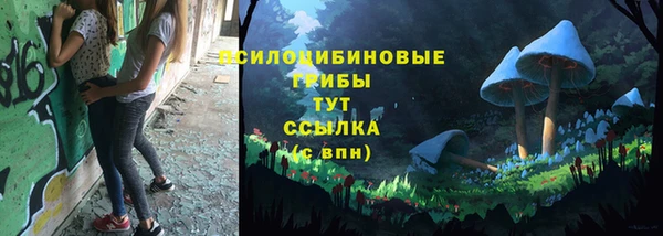 сатива Алексеевка