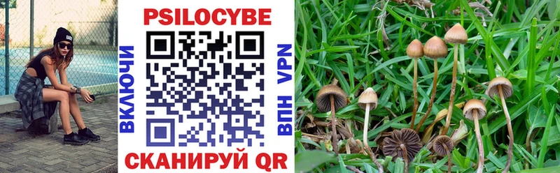 Купить закладки Тверь Псилоцибиновые грибы ЛСД