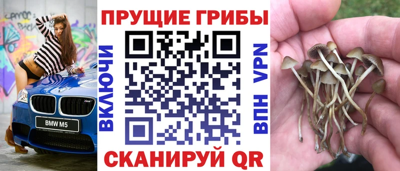 Галлюциногенные грибы Magic Shrooms Тверь